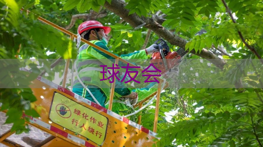 创新园林管理模式,有效解决问题症结 创新园林管理模式,有效解决问题症结