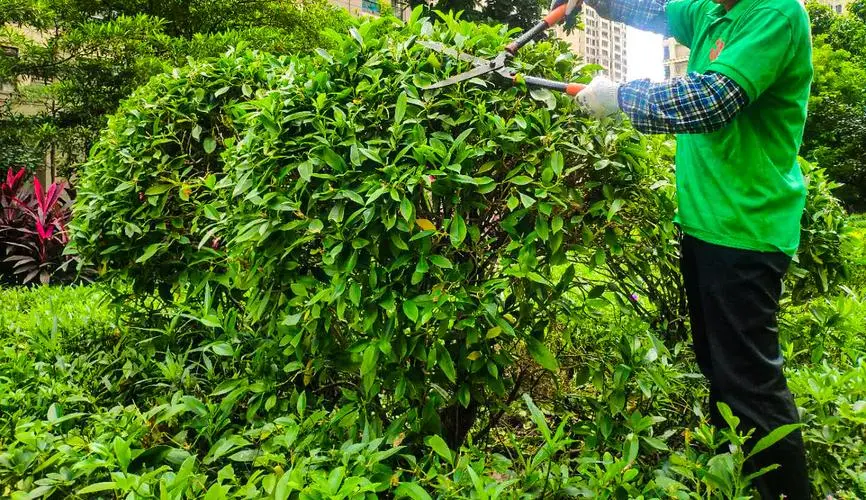 南京园林绿化工程资质 南京园林绿化工程资质