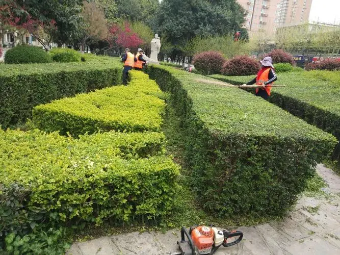 绿化工程茅草亭 绿化工程茅草亭